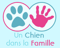 Un chien dans la famille